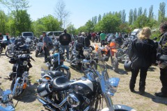 Custom_Classicfest-9