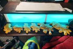 IMG-20230115-WA0023