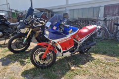 Jubi_40_19