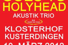 Paddy_Flyer_2012