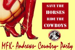 countryparty_andrew_glb