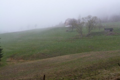 1100137-FT-04-2012