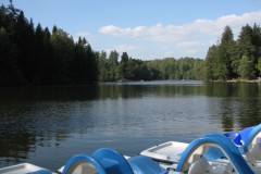 09schwhall_007