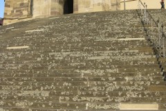 09schwhall_021