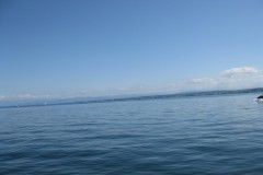 09Toggbrg_012