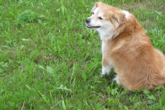 09Toggbrg_029