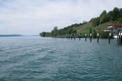 IMG_7064