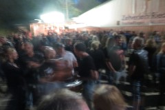 Wilsingen16-11